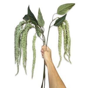 3 Cascading Pale Green Amaranth Stems